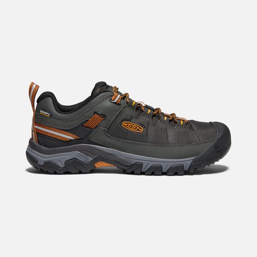 Keen Wandelschoenen Heren Zwart/Goud - Targhee Exp Waterproof - 32504-JNDO